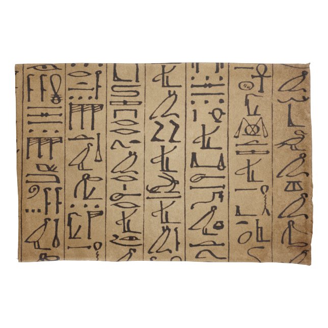 Funda De Cojín Impresión egipcia del papel de los Hieroglyphics (Anverso-izquierdo)