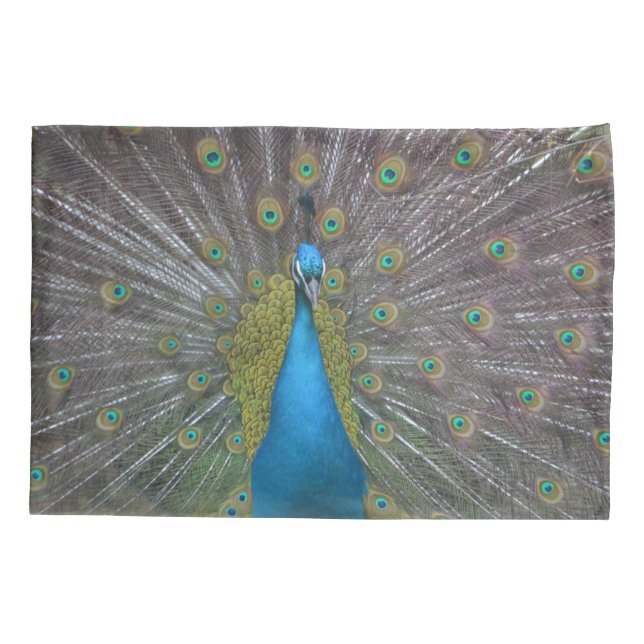 Funda De Cojín Impresionante pavo real (Reverso)