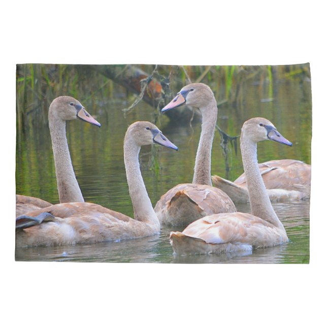 Funda De Cojín Jóvenes Cisnes (Reverso)