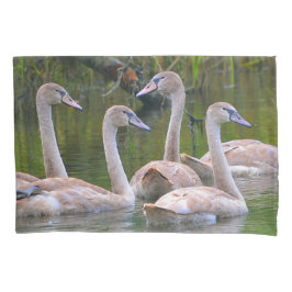 Funda De Cojín Jóvenes Cisnes