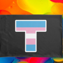 Juego de almohadas "Trans Orgullo Capital T"