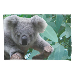 Funda De Cojín Koala y eucalipto
