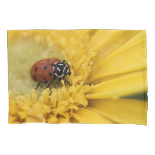 Funda De Cojín Lady bug