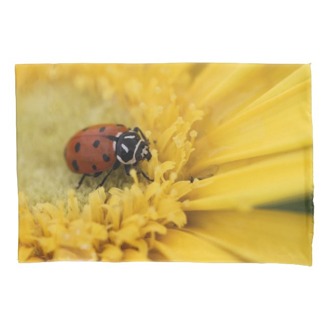 Funda De Cojín Lady bug (Anverso)