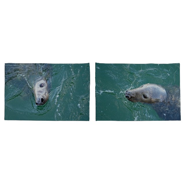 Funda De Cojín Las mejores focas grises de Chatham (Reverso-Set)