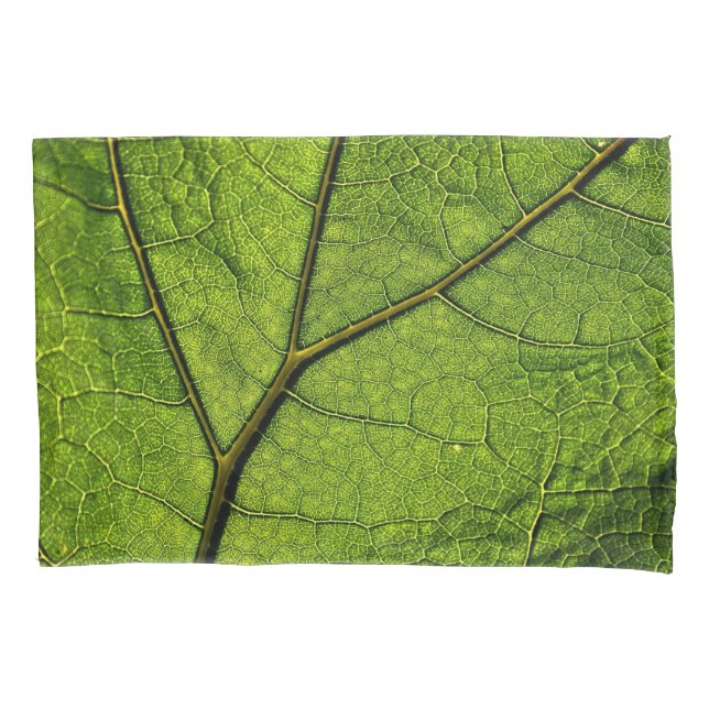Funda De Cojín Leaf. Butterbur verde (Anverso)