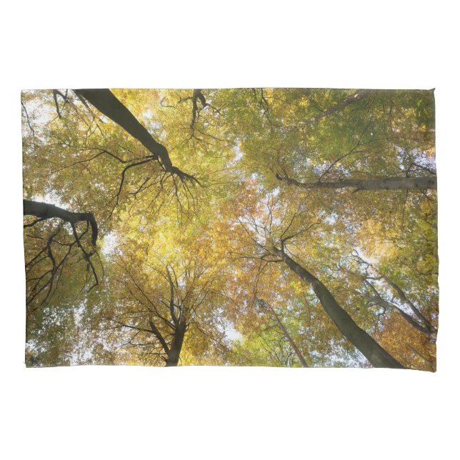 Funda De Cojín Leafy Canopy (Anverso)