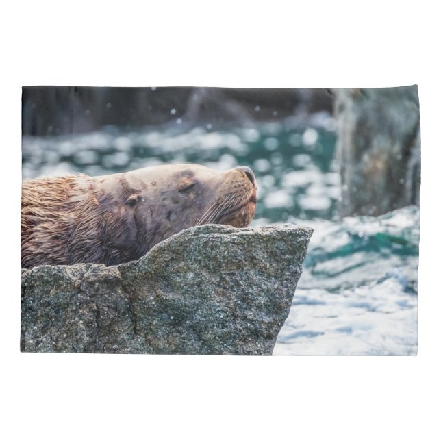 Funda De Cojín León Marítimo En La Bahía De Resurrección, Alaska (Reverso)