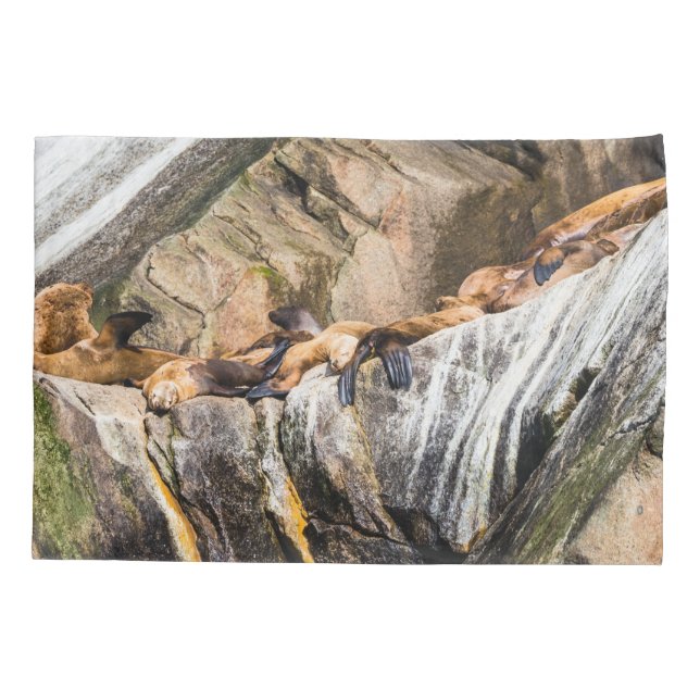 Funda De Cojín Leones Marinos Sobre Las Rocas (Reverso)