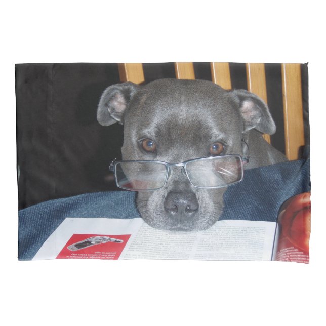 Funda De Cojín Leyendo cachorro (Anverso)