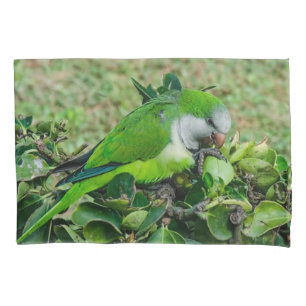 Funda De Cojín Loro verde