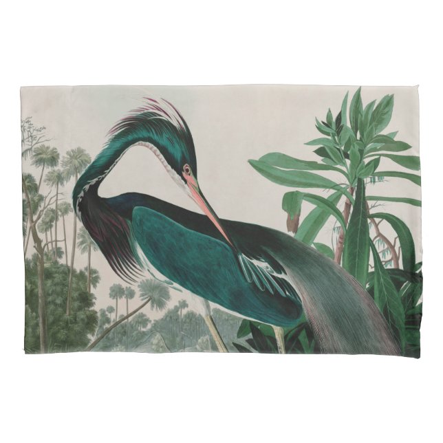Funda De Cojín Louisiana Heron Birds of America Audubon Print (Anverso)