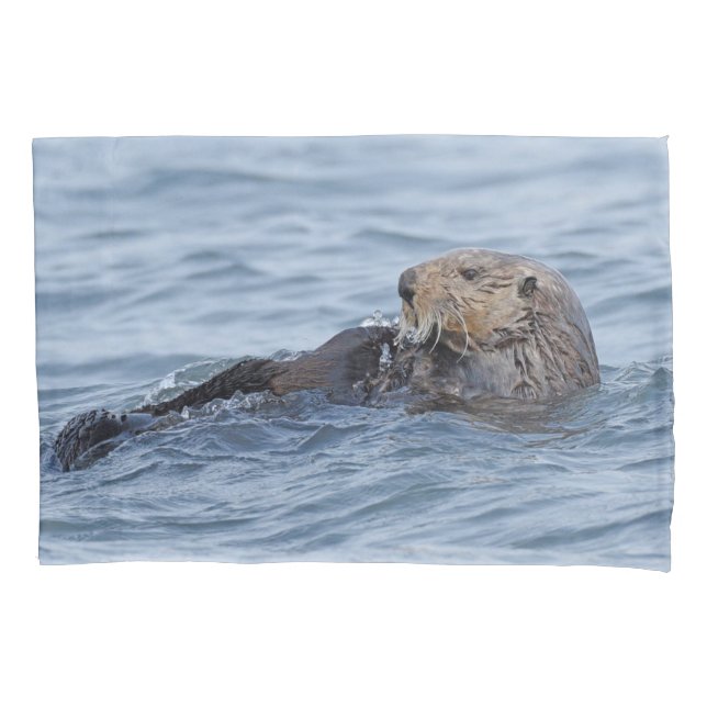 Funda De Cojín Maletín estándar de nutria (Anverso)