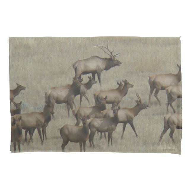 Funda De Cojín Manada de alces E37 (Anverso)
