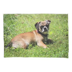Funda De Cojín Molly