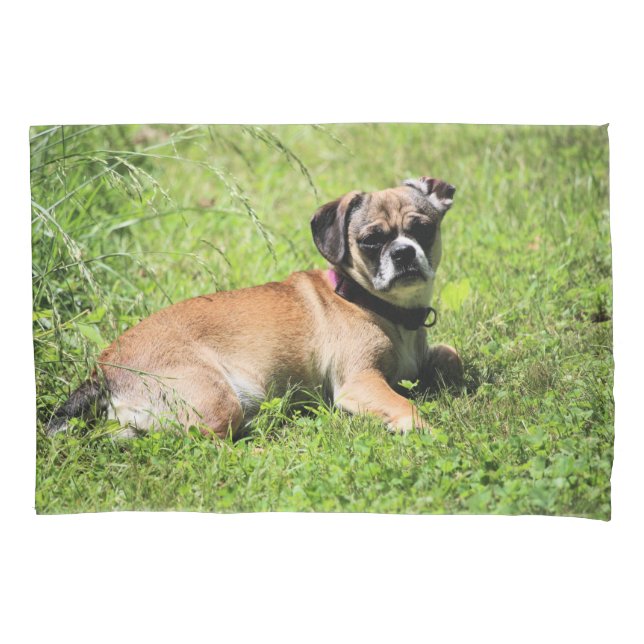 Funda De Cojín Molly (Anverso)