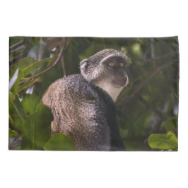 Funda De Cojín Mono azul, Zanzíbar