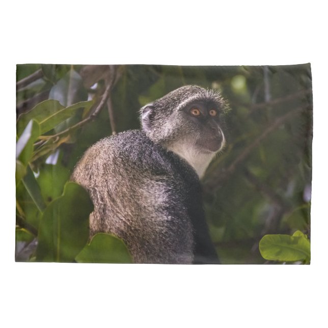 Funda De Cojín Mono azul, Zanzíbar (Reverso)