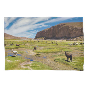 Funda De Cojín Montañas   Andes bolivianos