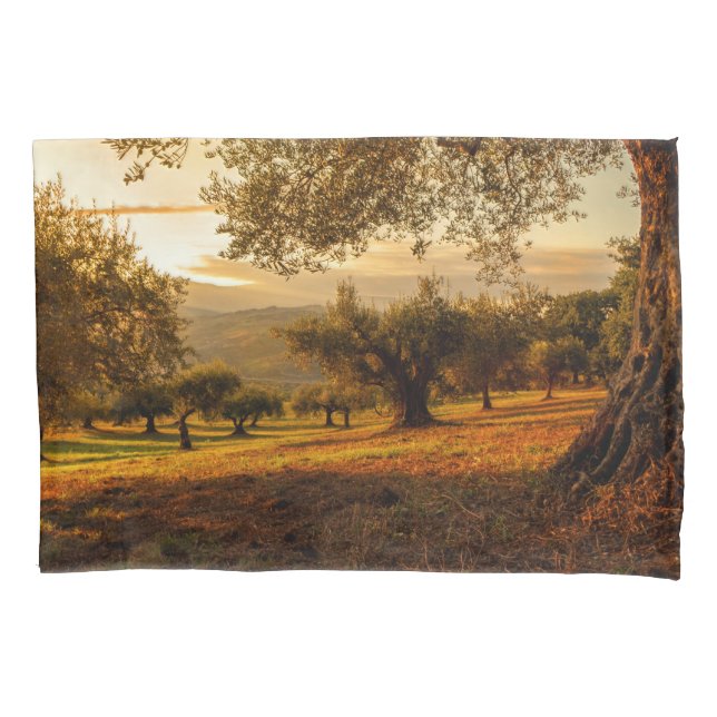 Funda De Cojín Olive Garden Plantation Sunset In Fall (Anverso)