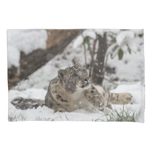 Funda De Cojín Onza curiosa en nieve