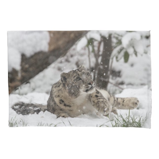 Funda De Cojín Onza curiosa en nieve (Anverso)
