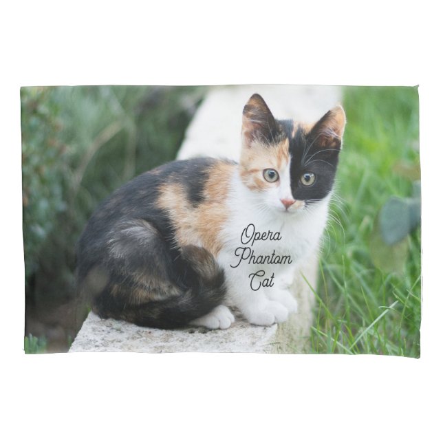 Funda De Cojín Opera Gato fantasma (Anverso)