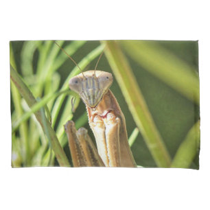 Funda De Cojín Orando a Mantis