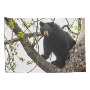 Funda De Cojín Oso negro escalante