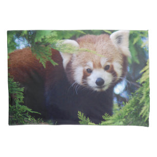 Funda De Cojín Panda roja