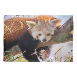 Funda De Cojín Panda rojiza perezosa
