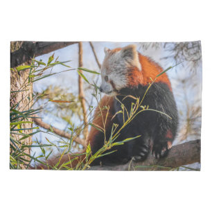Funda De Cojín Panda rojo