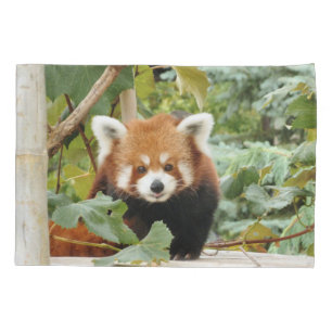 Funda De Cojín Panda rojo