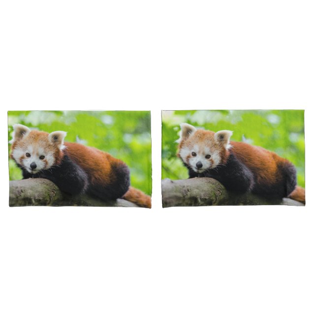 Funda De Cojín Panda rojo (Anverso - Set)