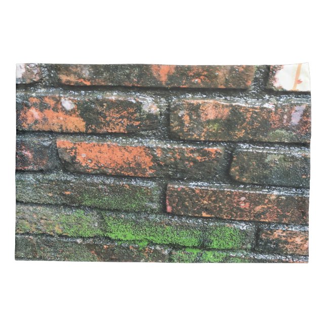 Funda De Cojín Pared vieja de ladrillo (Reverso)