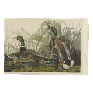Funda De Cojín Pato Mallard de los pájaros de América de Audubon