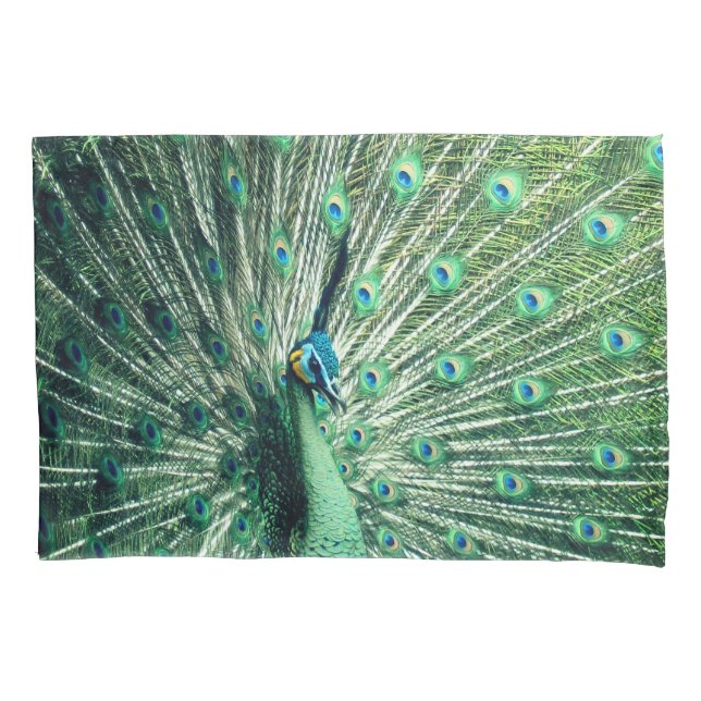 Funda De Cojín Peacock Strut (Anverso)