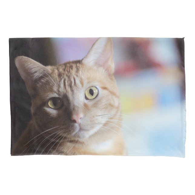 Funda De Cojín Penny (Anverso)