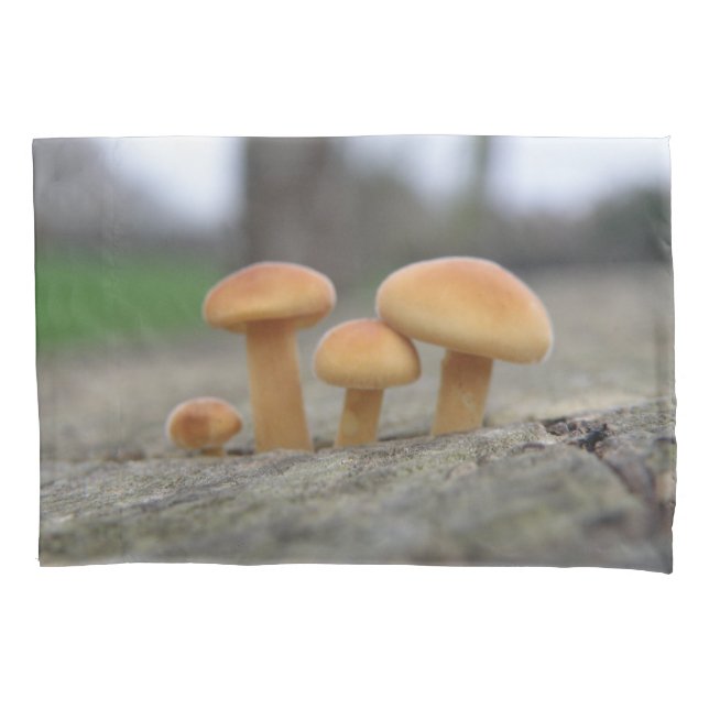 Funda De Cojín Pequeñas Toadstoides Macrofunda (Anverso)