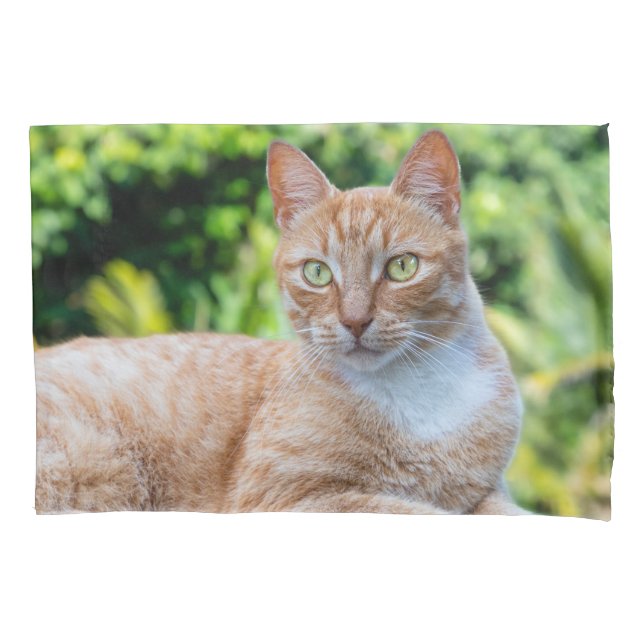 Funda De Cojín Pequeño gatito dulce (Anverso)