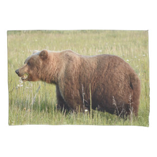 Funda De Cojín Peregrino estándar del oso pardo