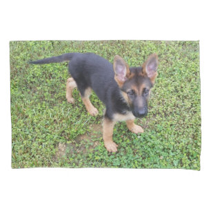 Funda De Cojín Perrito protegido
