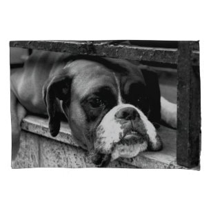 Funda De Cojín Perro Boxeador En La Cena De Windowsill