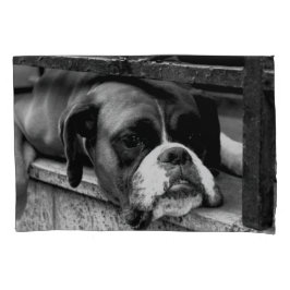 Funda De Cojín Perro Boxer En Windowsill Pcnm