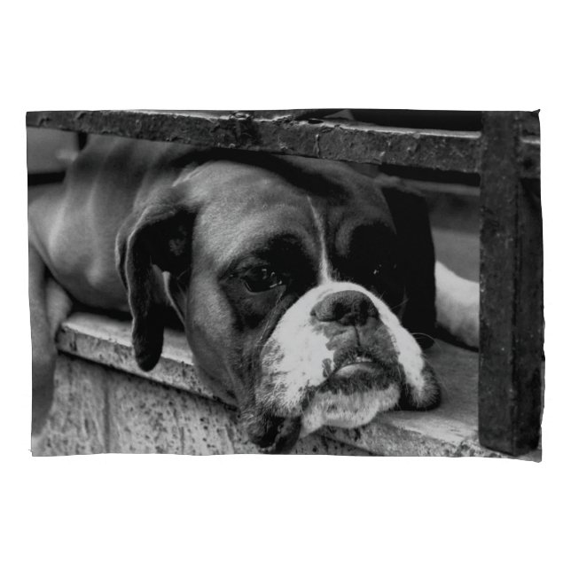 Funda De Cojín Perro Boxer En Windowsill Pcnm (Anverso)