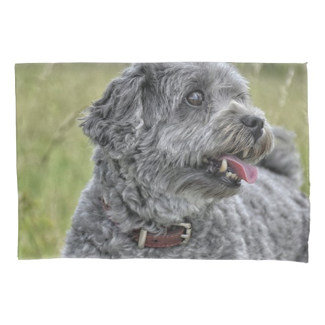 Funda De Cojín Perro Cute Terrier (Anverso)