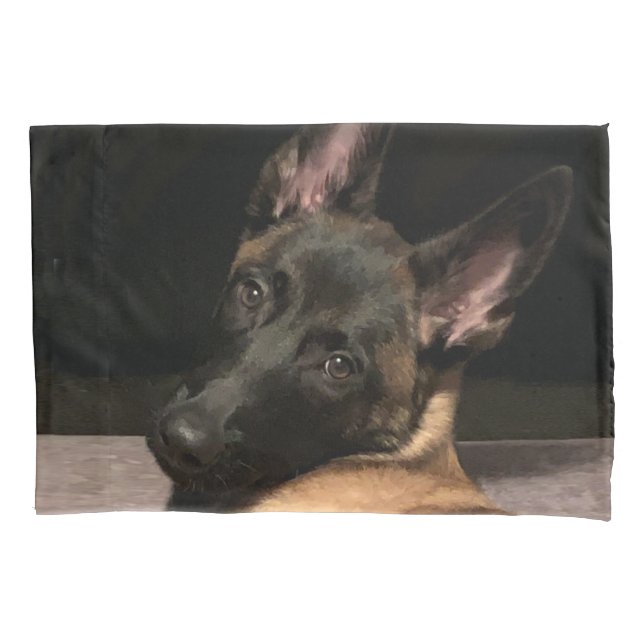 Funda De Cojín Perro de Malinois (Anverso)