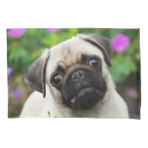 Perro de perrito color de gamuza lindo del barro