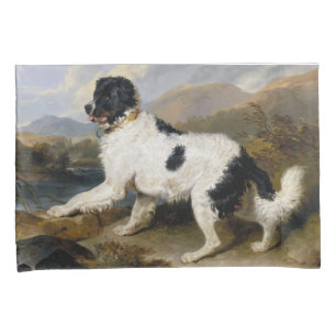 Funda De Cojín Perro de Terranova (animal blanco y negro)