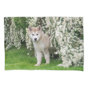 Funda De Cojín Perro malamute de Alaska en foto de flores